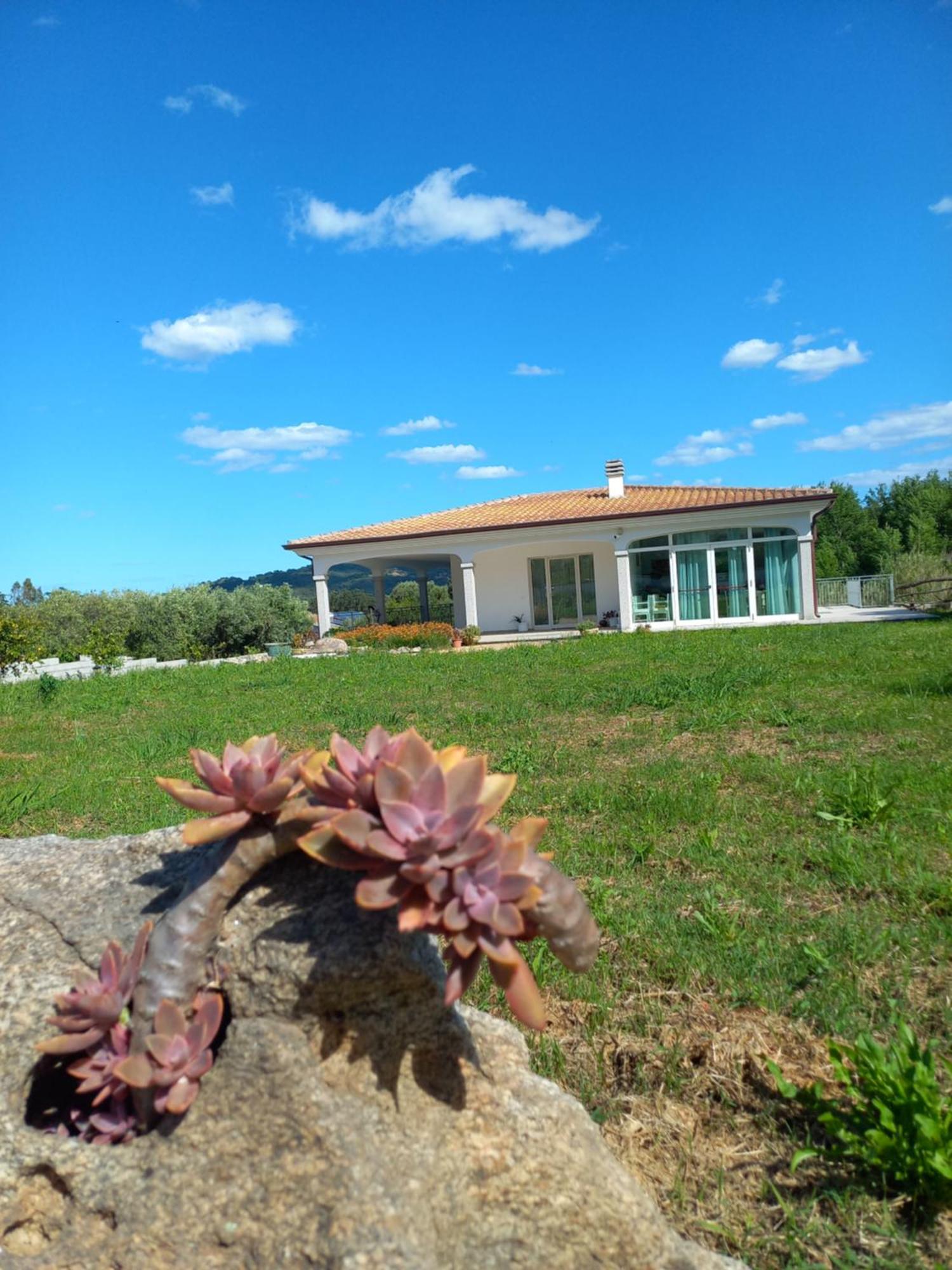 Agriturismo B&B Mares E Montes De Marrante 西尼斯科拉 外观 照片
